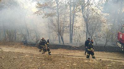 В Урюпинском районе ликвидировали лесной пожар