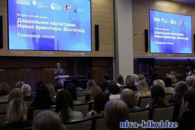 Дошкольные работники Киквидзенского района - участники всероссийского форума