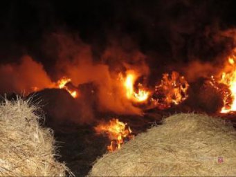 Следователи Киквидзенского района завершили уголовное дело в отношении женщины, совершившей поджог более 18 тонн сена