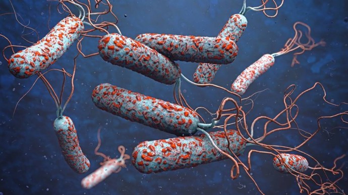 Профилактика холеры и острых кишечных инфекций 2023
