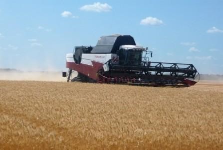 Киквидзенские аграрии завершают уборку озимой пшеницы